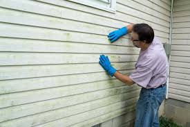 Best Vinyl Siding Installation  in Meadowbrook, CA